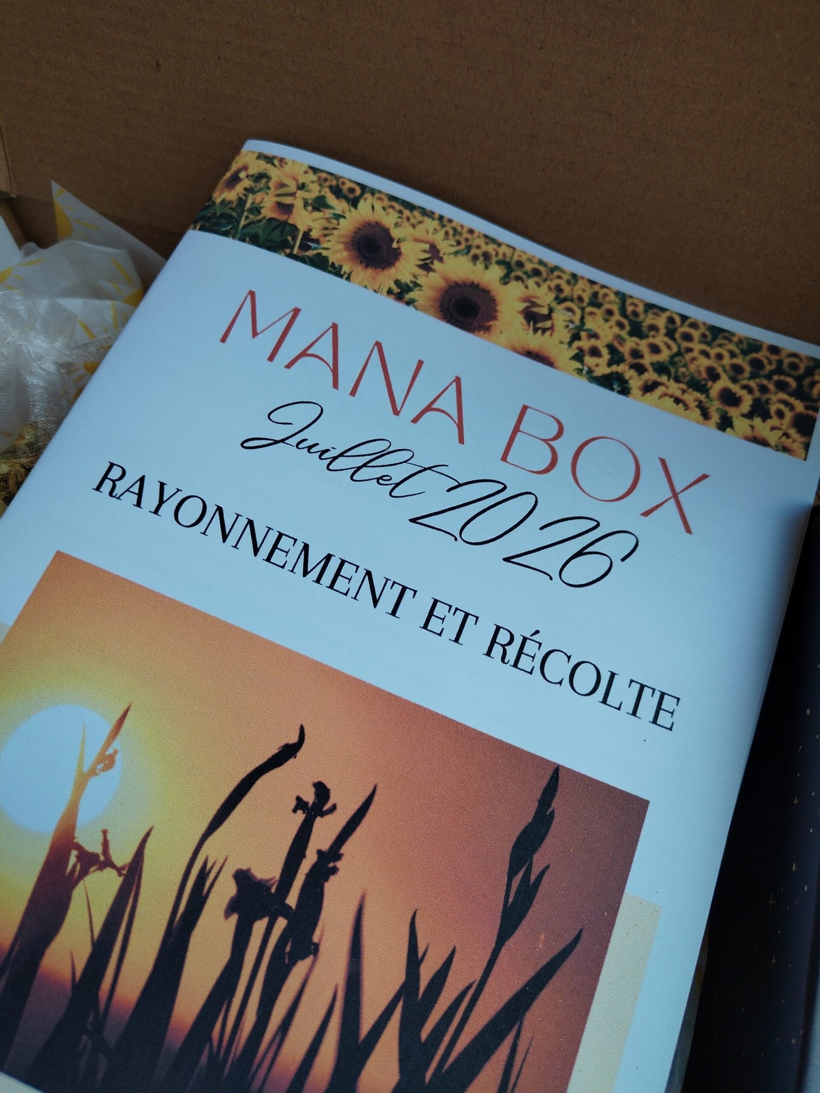 MANA BOX - RAYONNEMENT ET RÉCOLTE (Juillet 2026) – Image 2