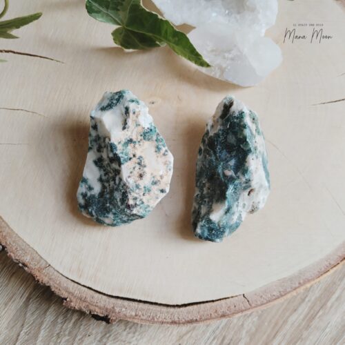 Agate Mousse aux motifs verts naturels, symbole de connexion à la terre et d’équilibre intérieur