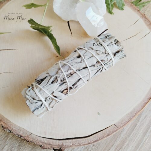 Fagot de sauge blanche pure 11 cm – encens naturel pour purification et fumigation