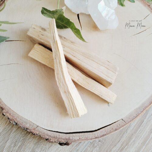 Bâton de Palo Santo naturel pour purification énergétique et détente spirituelle – 4 à 6g