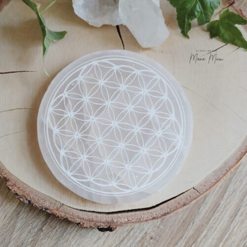 FLEUR DE VIE EN SÉLÉNITE