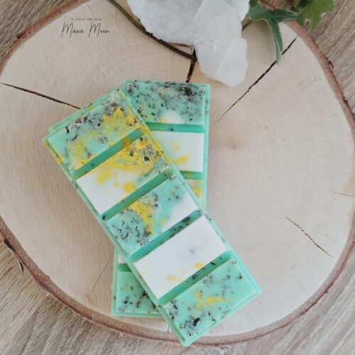 TABLETTE DE FONDANTS PROSPÉRITÉ LUMINEUSE