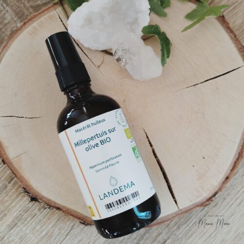 Macérât de millepertuis bio dans un flacon en verre, entouré de fleurs rouges séchées – huile de soin naturel et protecteur