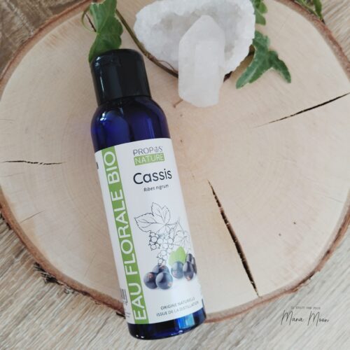 Flacon d’hydrolat de cassis bio entouré de feuilles et baies de cassis fraîches