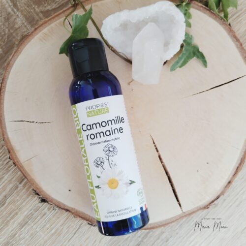 Flacon d’hydrolat de camomille bio sur fond blanc avec fleurs de camomille fraîche