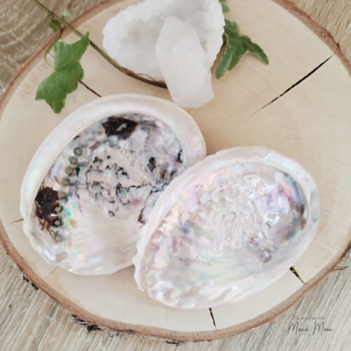 COQUILLE D'ORMEAU NATURELLE