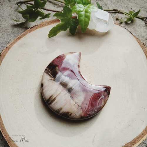 Pierre Bois Fossilisé en forme de lune – 90g – apaisement, ancrage, patience