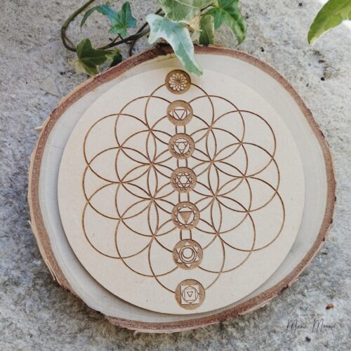 STATION FLEUR DE VIE ET CHAKRAS