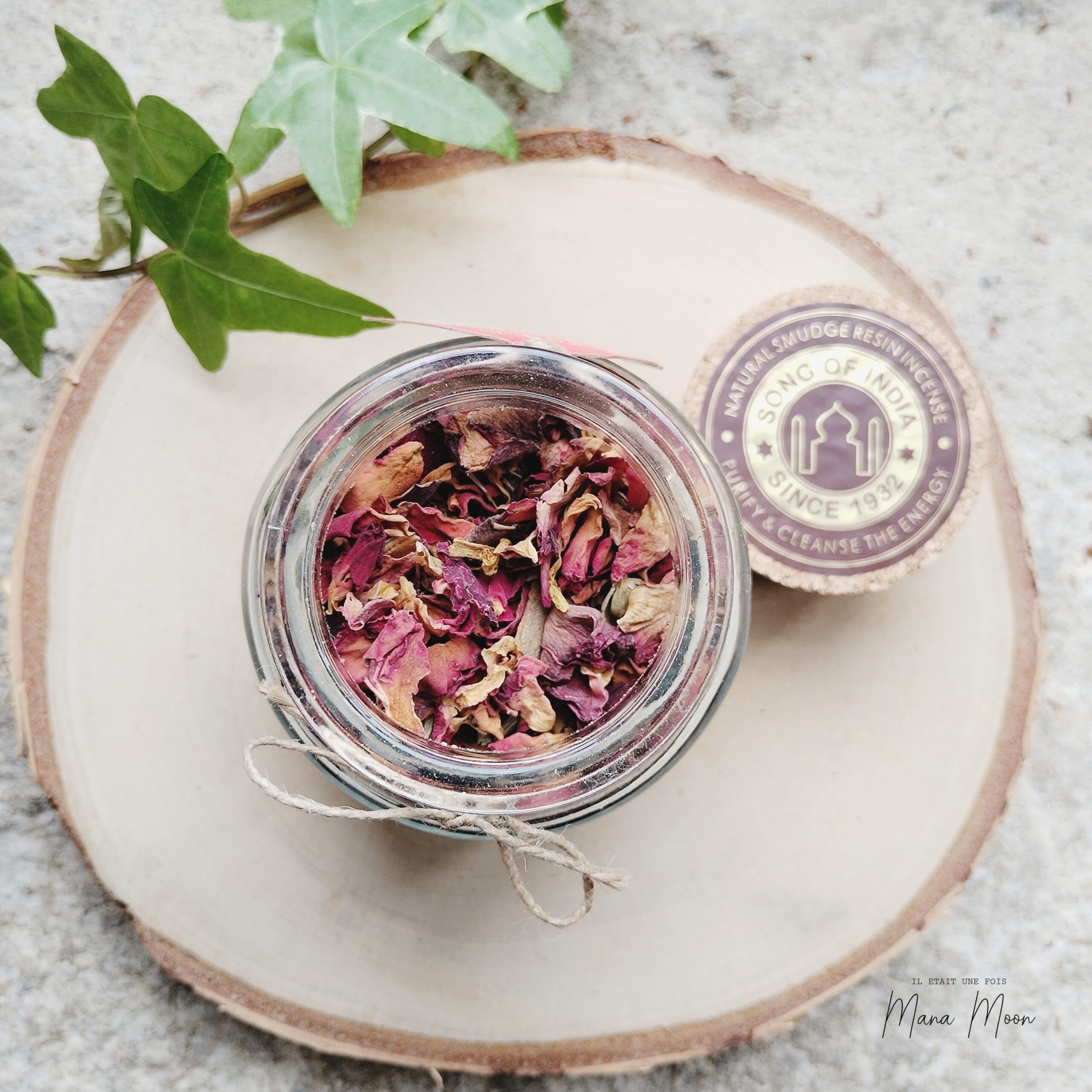 InCollage_20250820_163042289