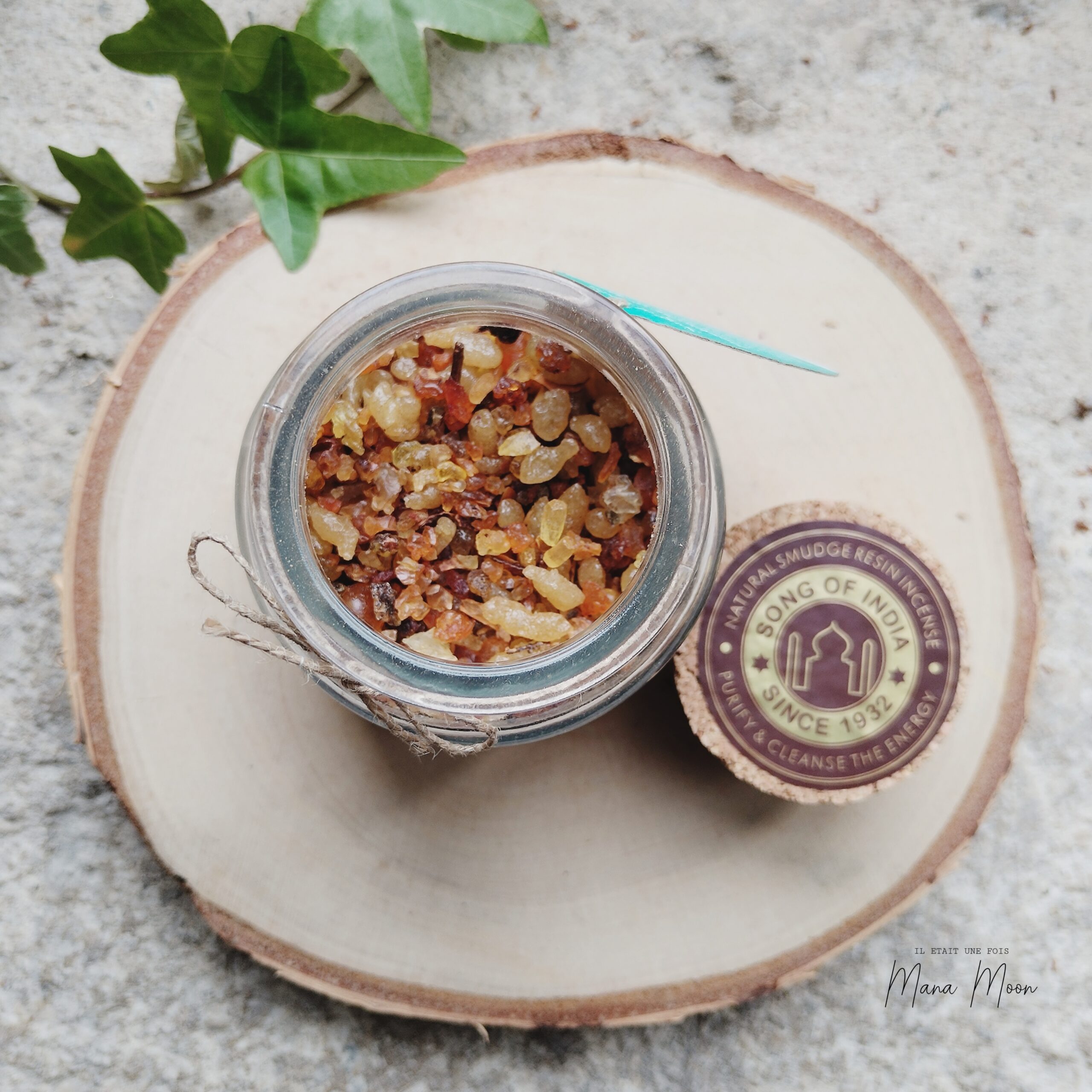 InCollage_20250820_163517188