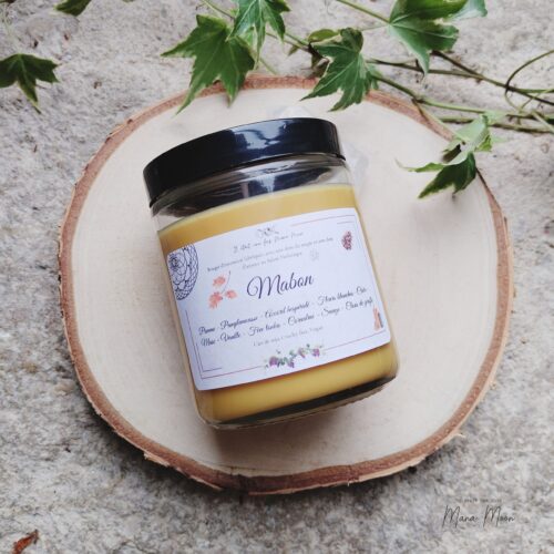 Bougie parfumée "Mabon" 200g, fabriquée artisanalement en cire de soja, parfum pomme, pamplemousse, fleurs blanches, cèdre, musc, vanille et fève tonka, décorée de cornaline, sauge et clou de girofle, pour célébrer l’automne et l’abondance.