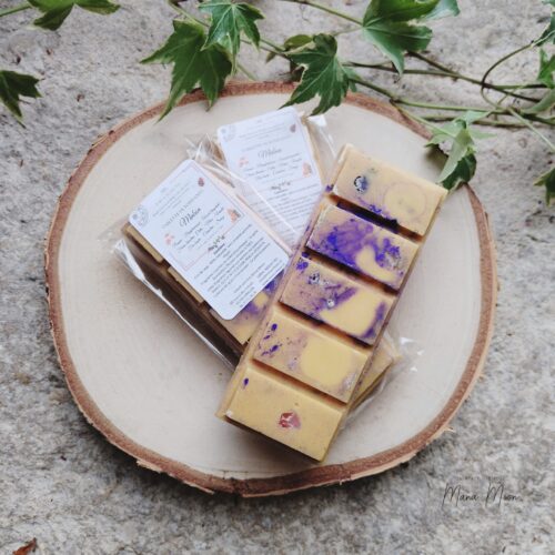 Tablette de fondants parfumés "Mabon", fabriquée artisanalement en cire de soja, parfum automnal pomme, pamplemousse, fleurs blanches, cèdre, musc, vanille et fève tonka, décorée de cornaline, sauge et clou de girofle, pour rituels d’équinoxe et de gratitude.