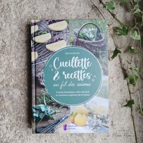 Livre Cueillette et recettes au fil des saions de Sabrina Schott