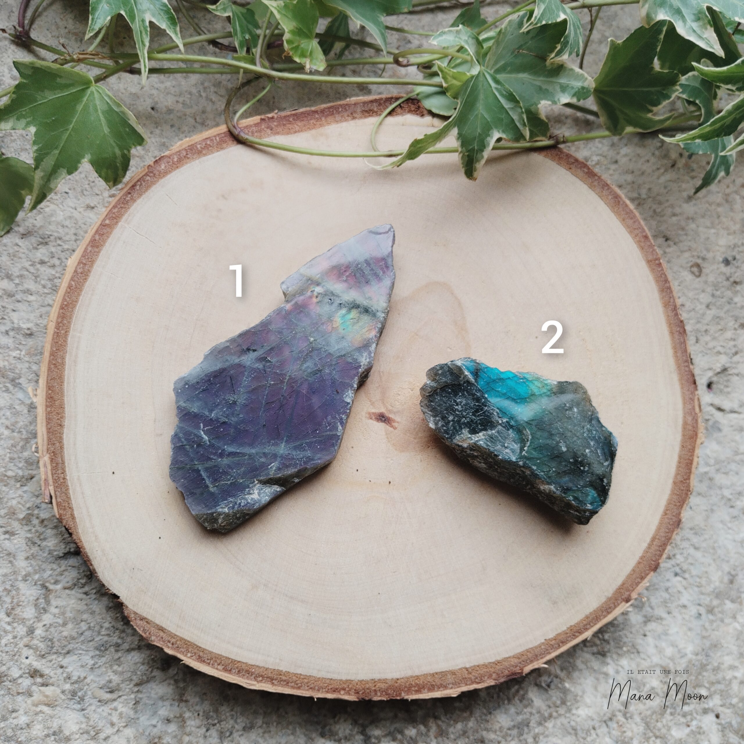 InCollage_20251021_121827054