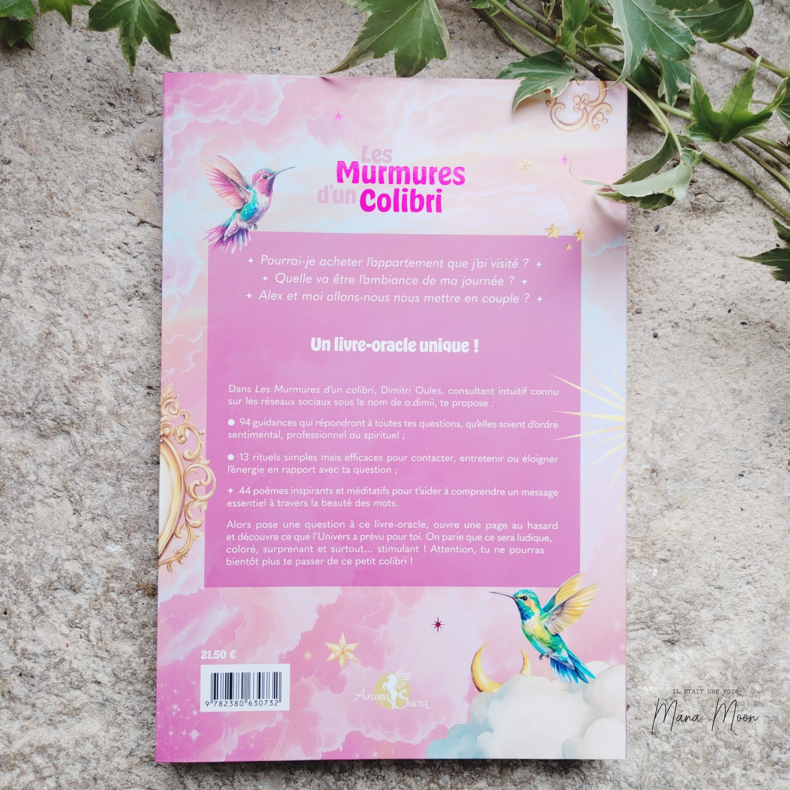 InCollage_20251024_165854966