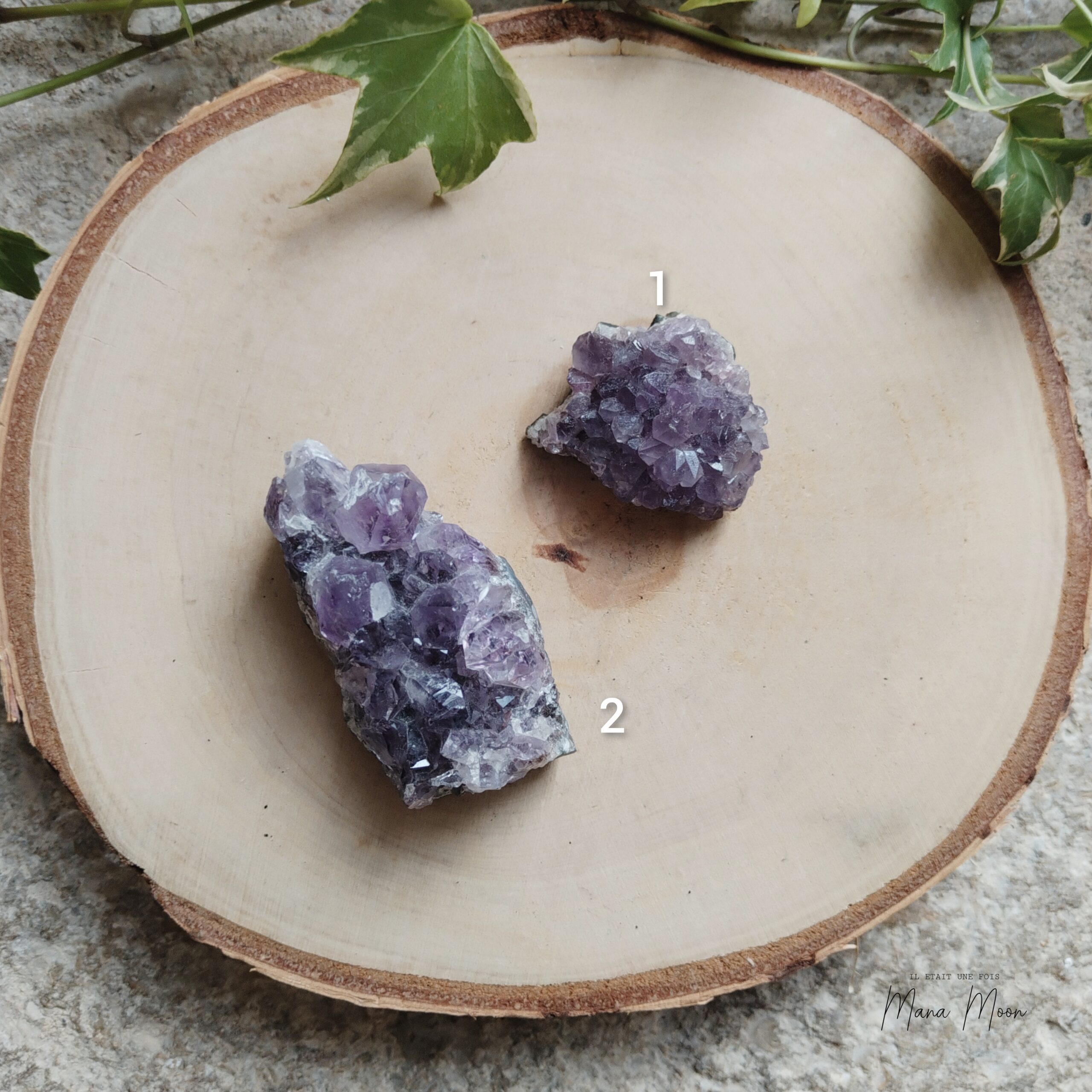 InCollage_20251107_132457879