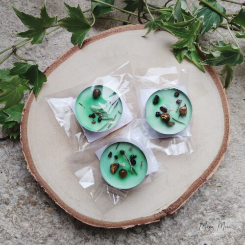 Chauffe-plats Yule parfumés avec grenat et œil de tigre