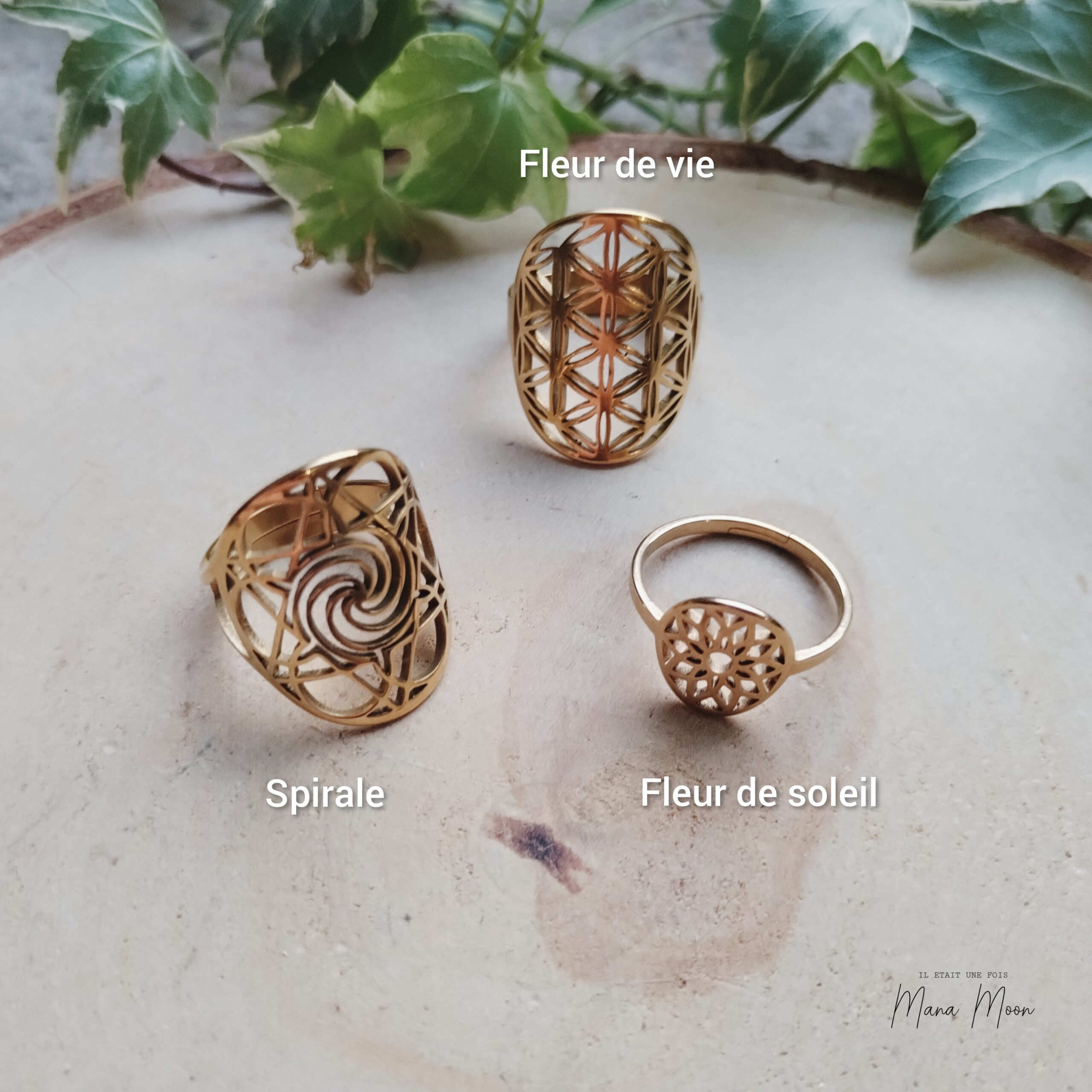 InCollage_20251216_171100442