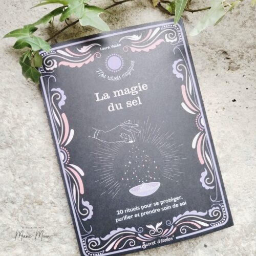 La magie du sel - Laure Vallée