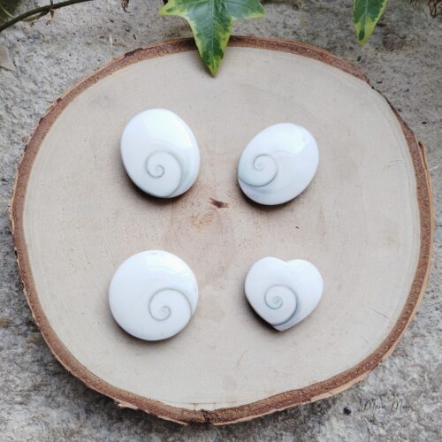 Œil de Sainte-Lucie naturel – talisman marin porte-bonheur, coquillage en spirale protecteur, utilisé en lithothérapie pour l’intuition et la chance.