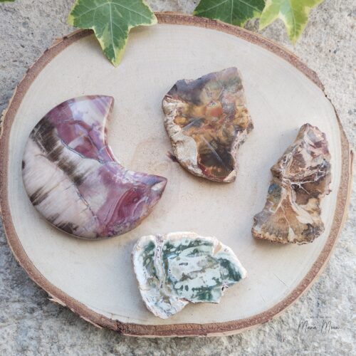 Pierre Bois Fossilisé en forme de lune ou en tranche– apaisement, ancrage, patience