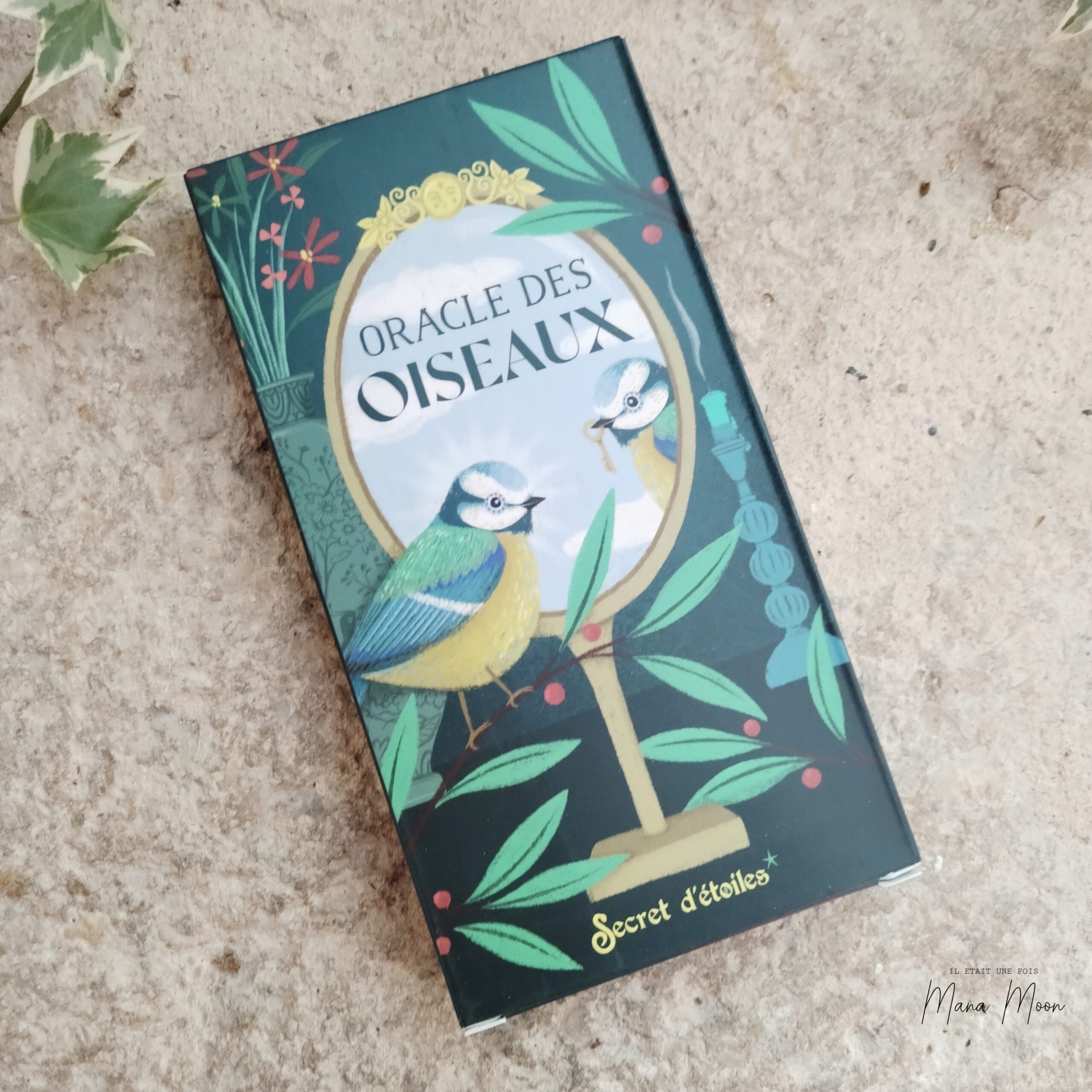 Oracle des Oiseaux d'Anne-Sophie Casper, un jeu de 25 cartes inspiré de la symbolique des oiseaux pour recevoir leurs messages et leur guidance spirituelle.