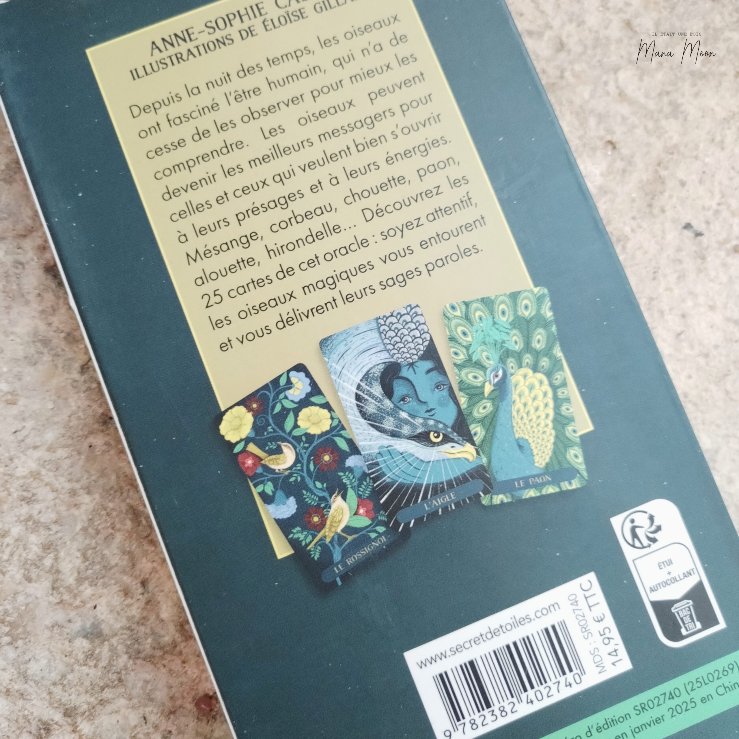 ORACLE DES OISEAUX – Image 2