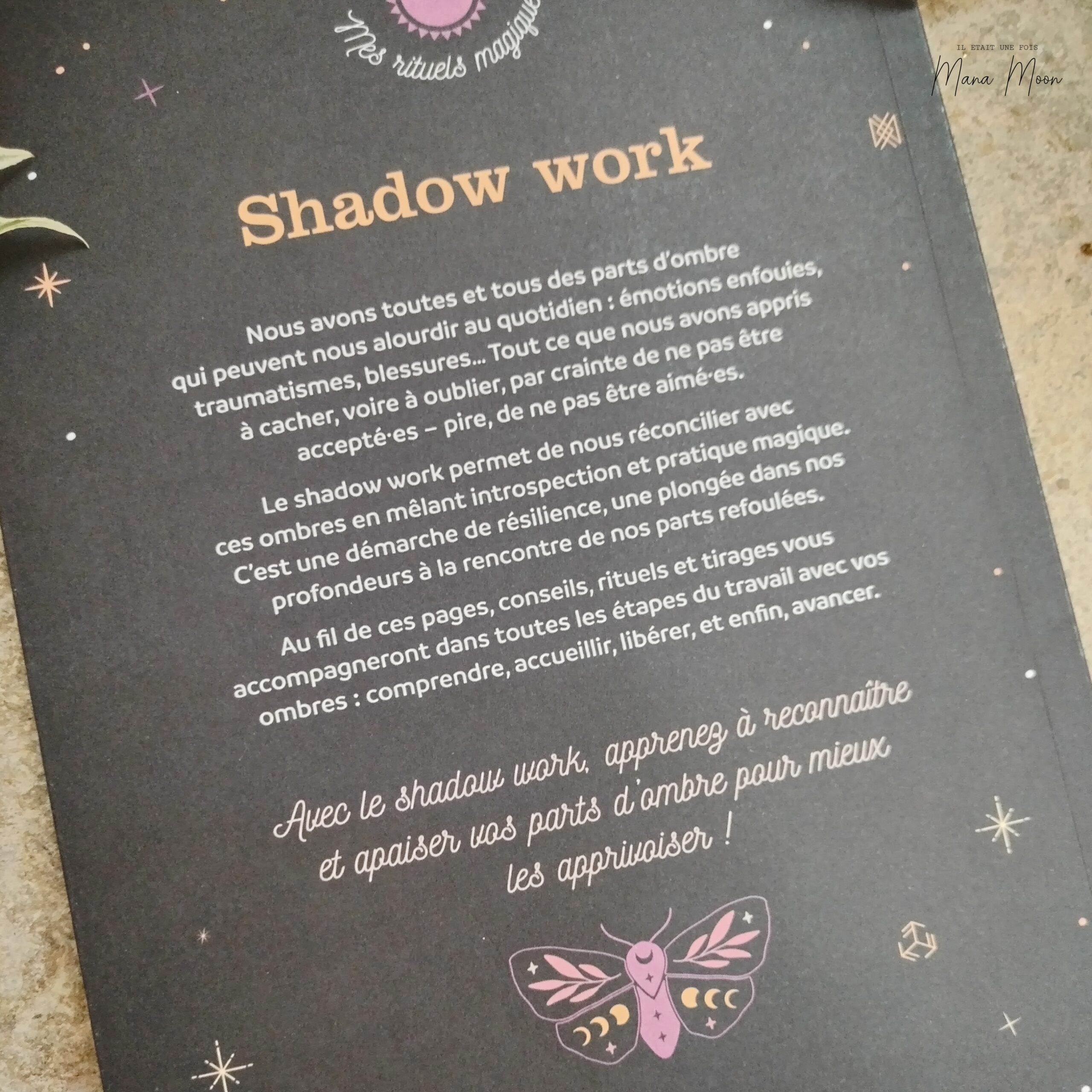 SHADOW WORK – Image 2