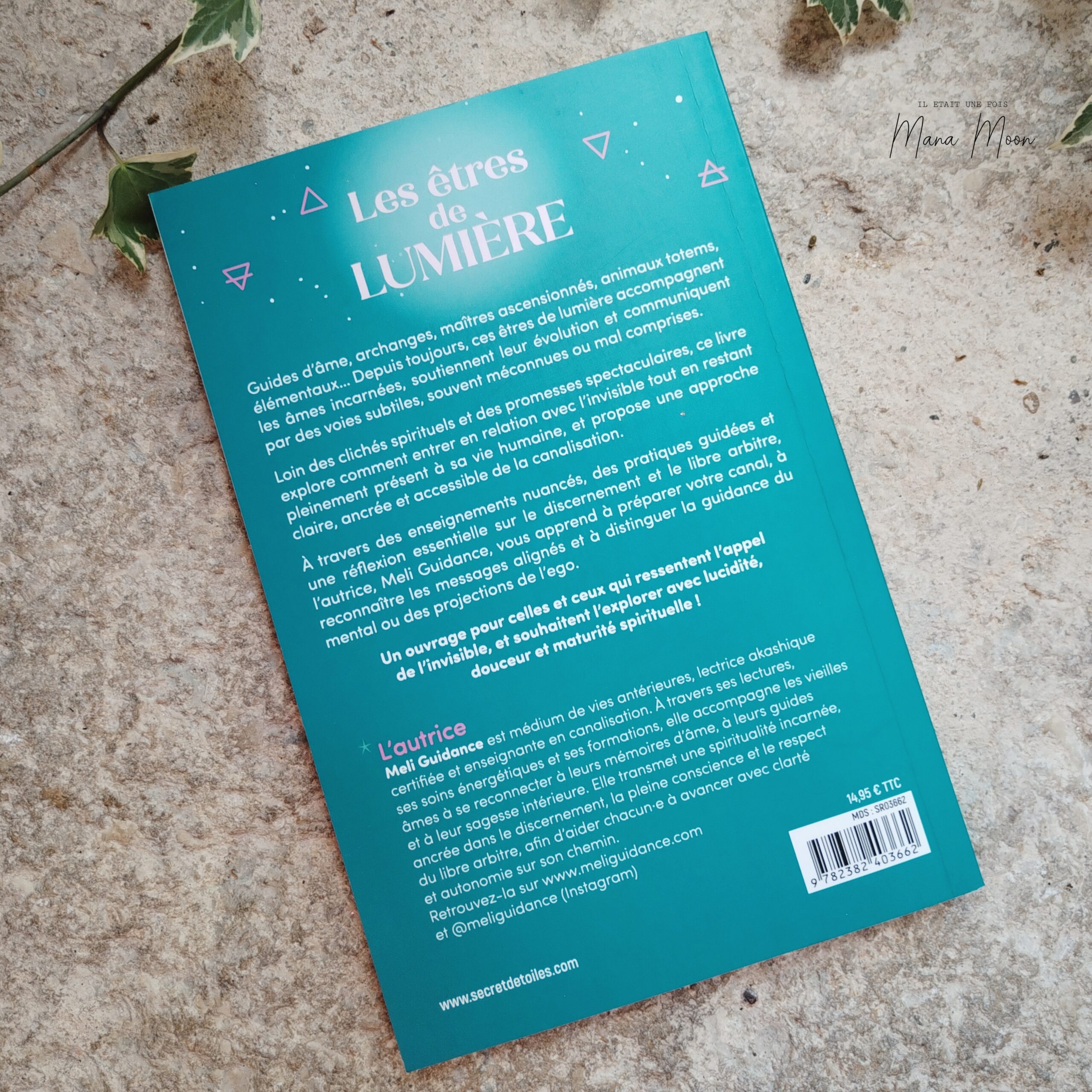 LES ÊTRES DE LUMIÈRE – Image 2