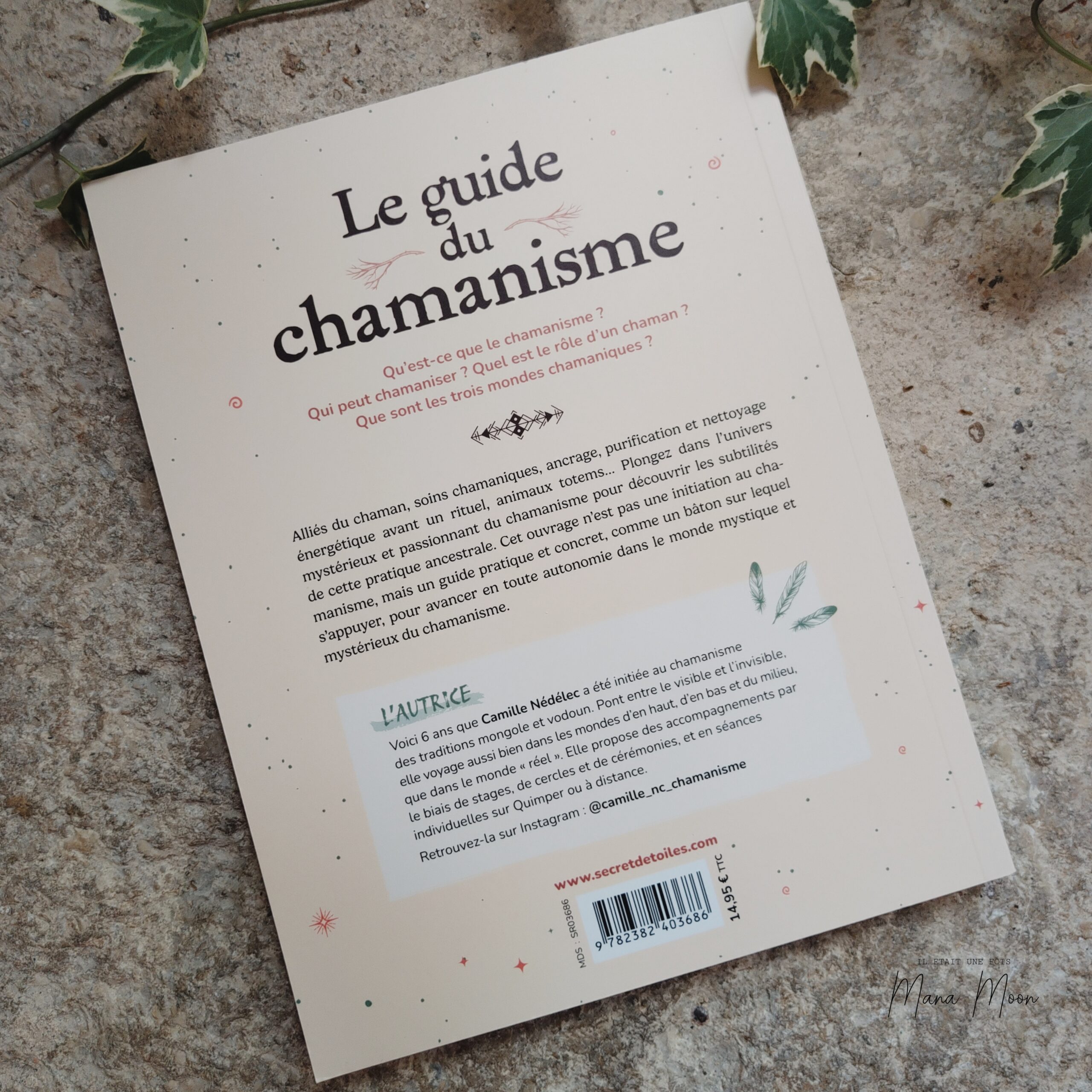 LE GUIDE DU CHAMANISME – Image 2