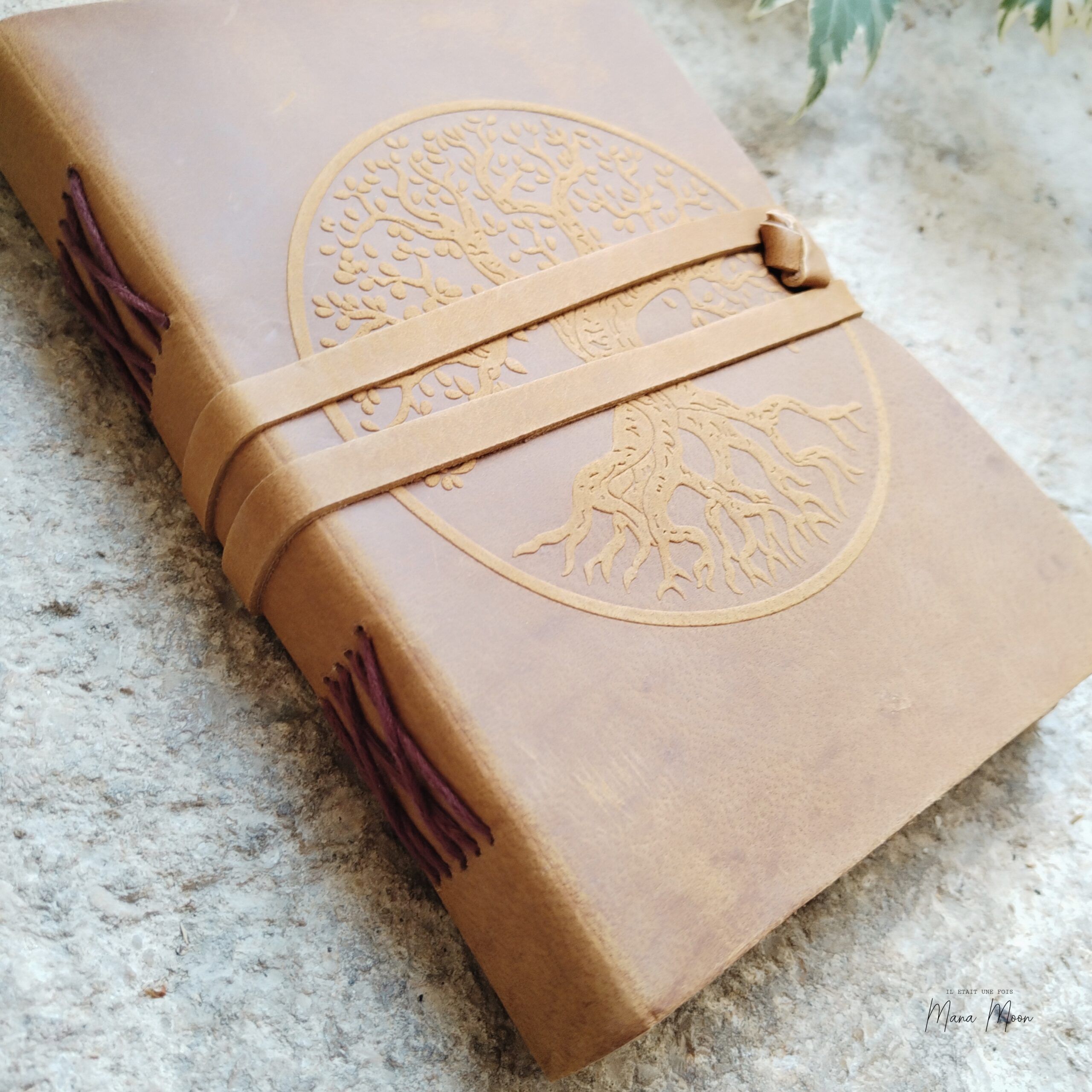 GRIMOIRE ARBRE DE VIE EN CUIRE – Image 2