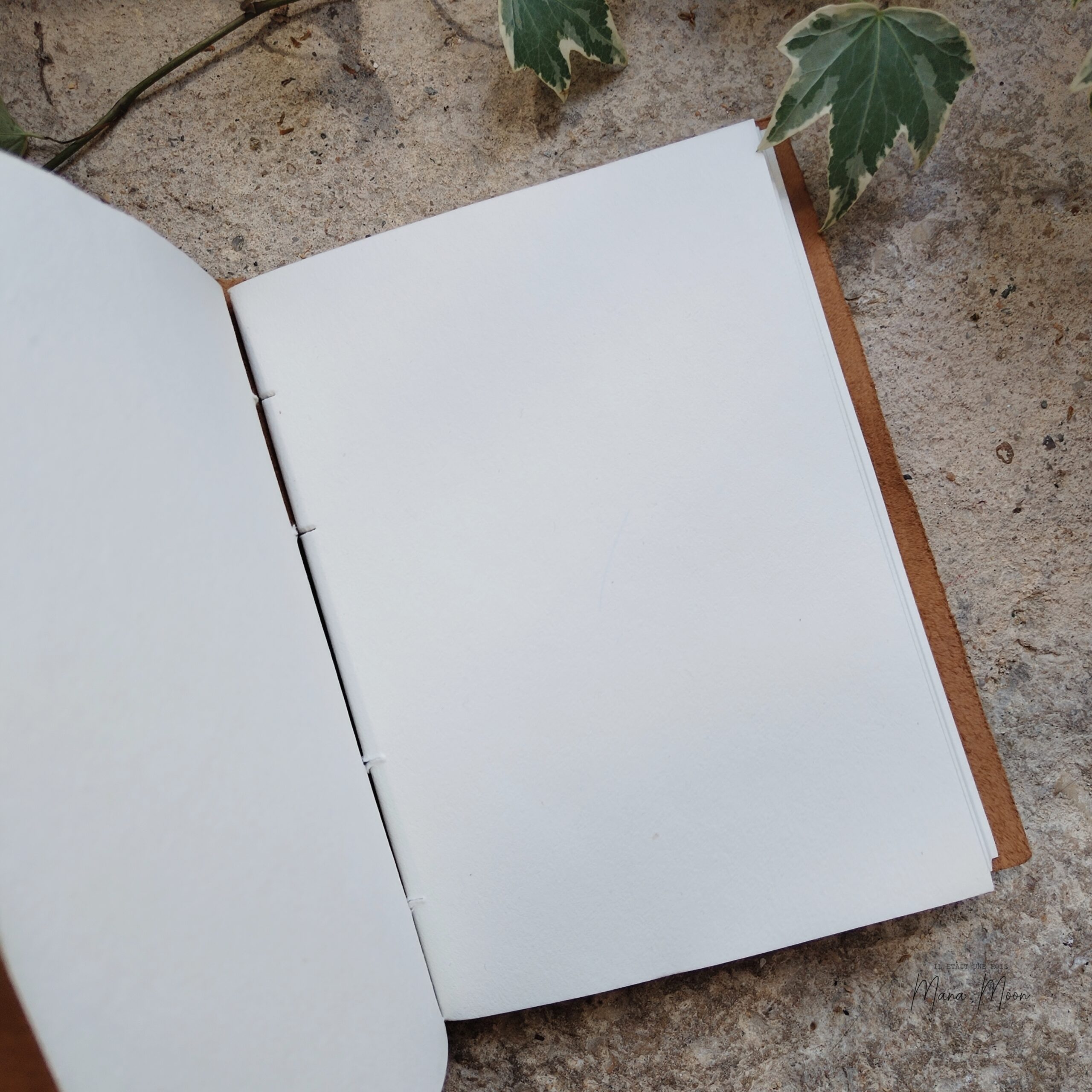GRIMOIRE ARBRE DE VIE EN CUIRE – Image 3