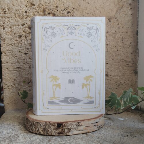 Boîte de rangement décorative en forme de livre avec finitions dorées et reliefs, idéale pour ranger bijoux et petits objets tout en décorant une bibliothèque élégante.