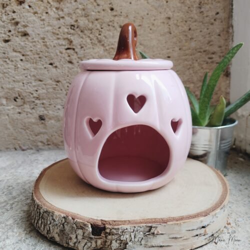 bruleur-huile-citrouille-rose-automne-mana-moon.jpg