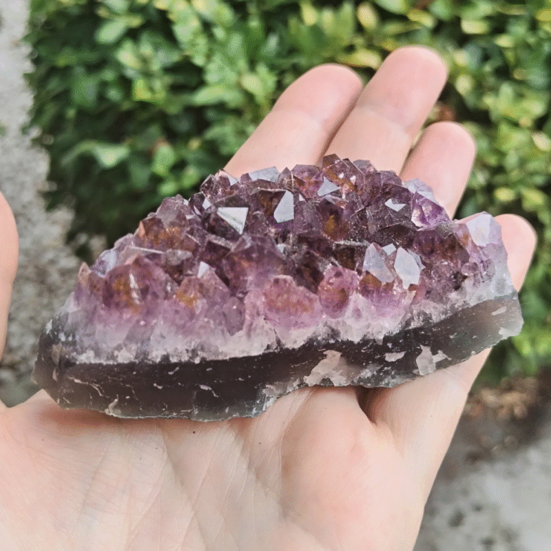 Géode d'améthyste violette avec cristaux naturels