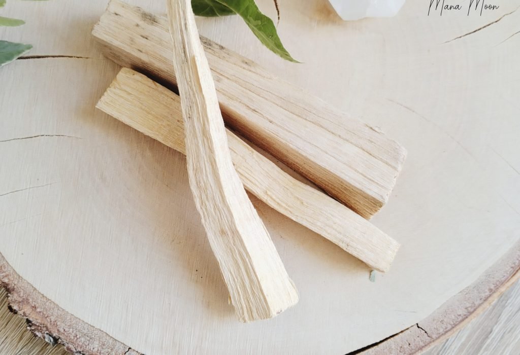 Bâton de Palo Santo naturel pour purification énergétique et détente spirituelle – 4 à 6g